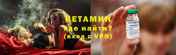 сатива Беломорск