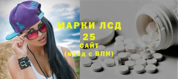 сатива Беломорск
