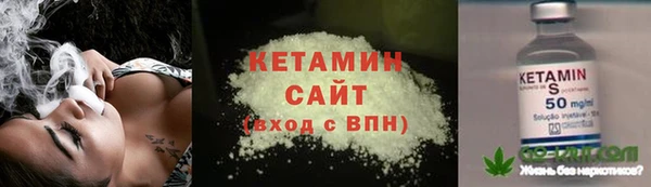 сатива Беломорск