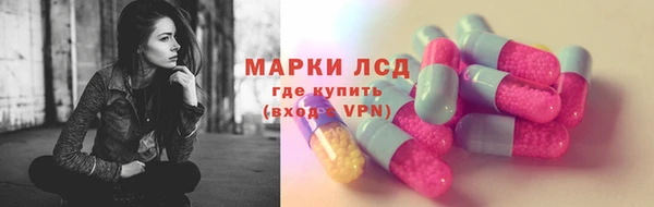 сатива Беломорск