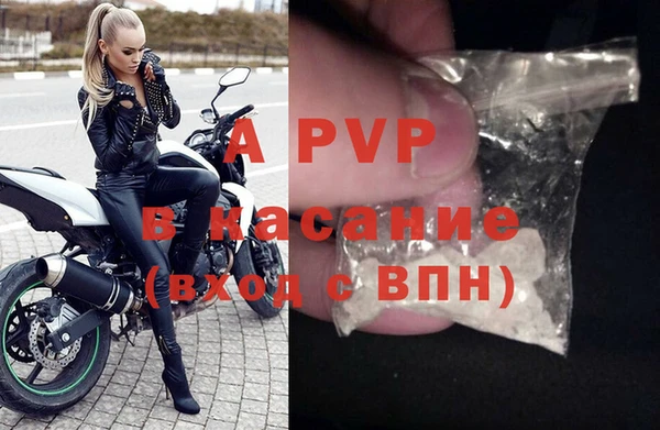 сатива Беломорск