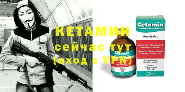 сатива Беломорск