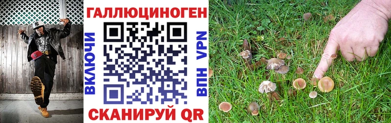 Галлюциногенные грибы прущие грибы  Дрезна 