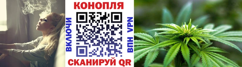 купить наркотик  Дрезна  Бошки Шишки сатива 